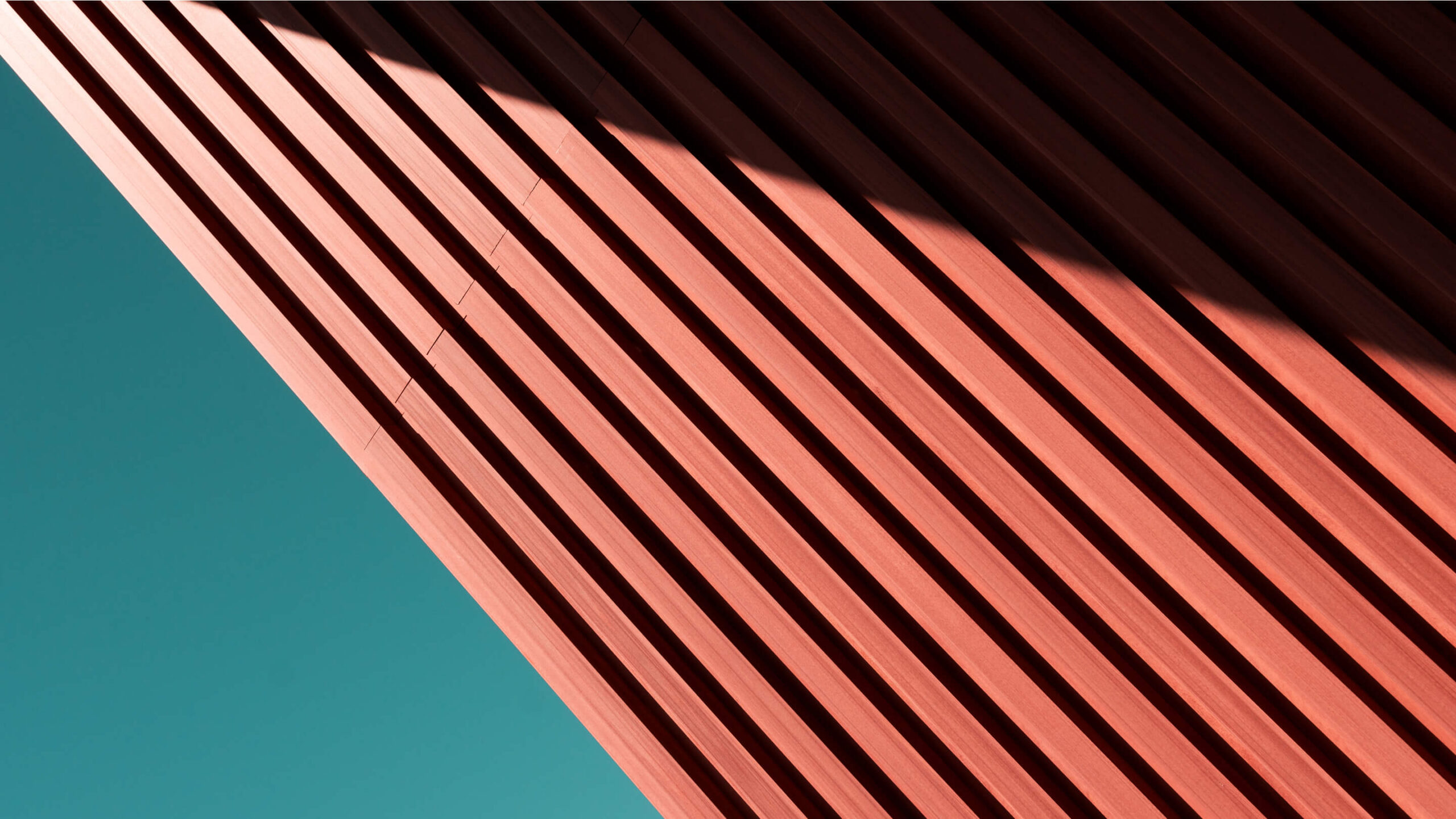 banner-bg